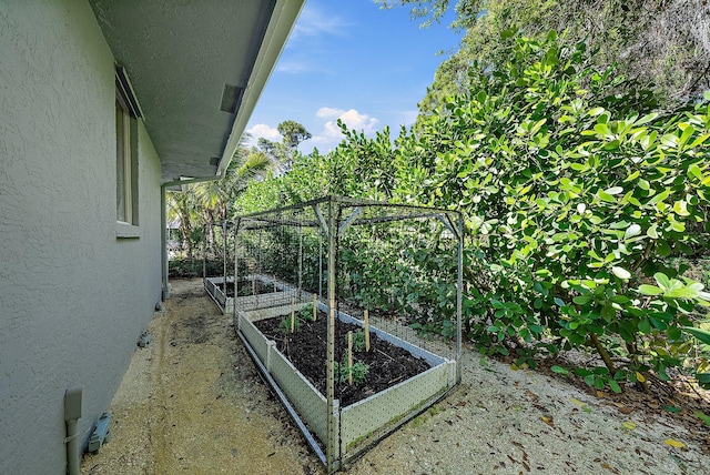 view of yard featuring a vegetable garden