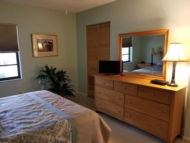 bedroom featuring multiple windows, carpet, and a closet