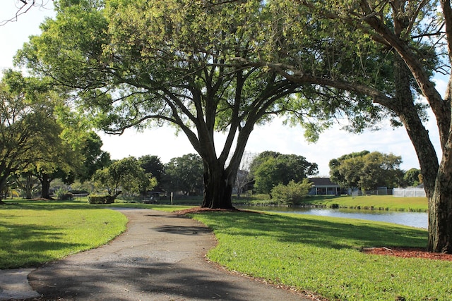 view of home's community with a water view and a lawn