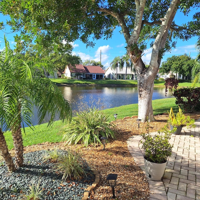 water view