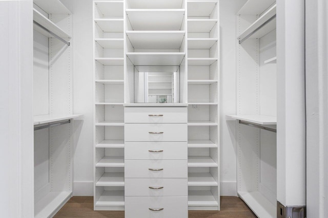 spacious closet featuring dark wood finished floors