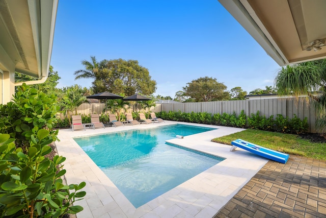 view of pool with a patio area, a fenced backyard, and a fenced in pool