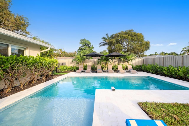 view of swimming pool featuring a fenced in pool, a fenced backyard, and a patio