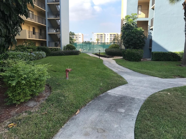 view of community with a yard