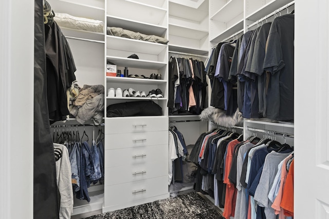 view of spacious closet