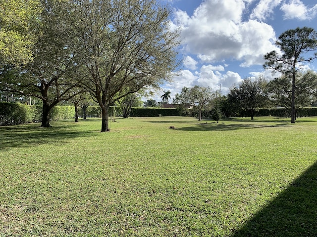 view of yard