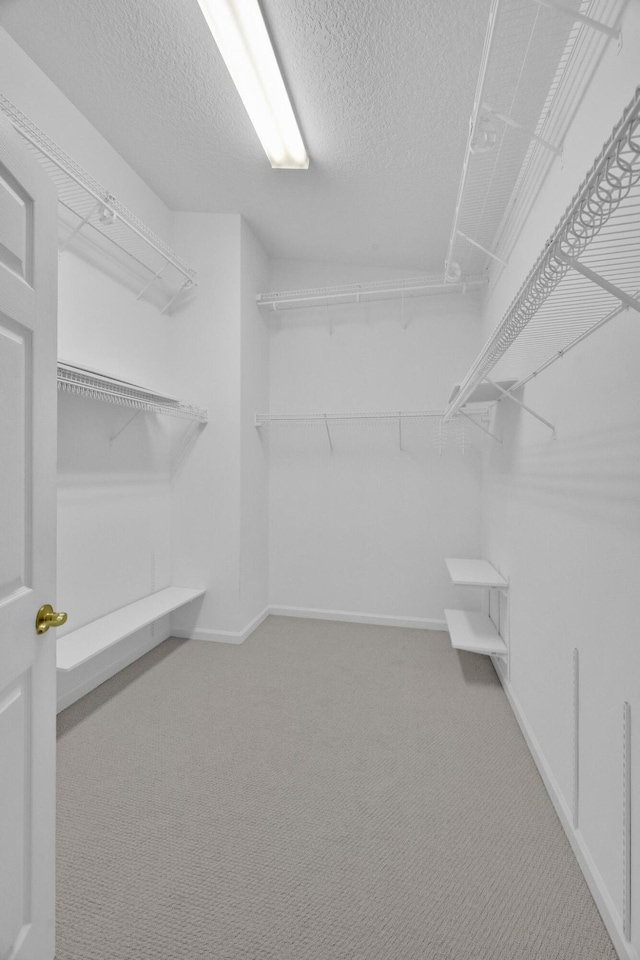 spacious closet with carpet flooring