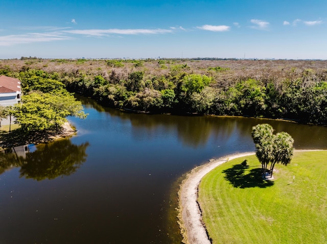 bird's eye view with a water view