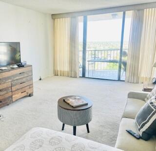 carpeted living room with expansive windows