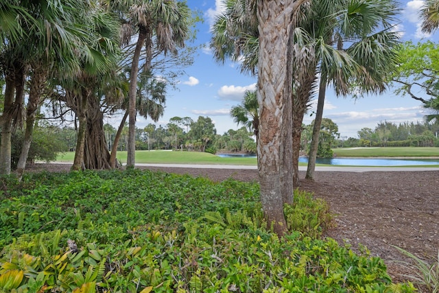 view of yard featuring a water view