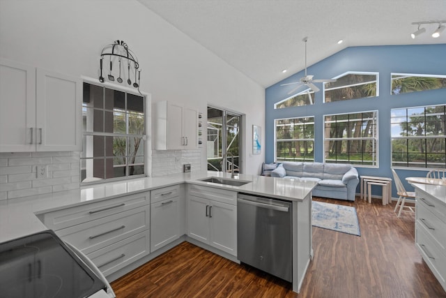 kitchen featuring a sink, dark wood finished floors, dishwasher, and light countertops