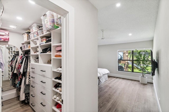 spacious closet featuring a ceiling fan and wood finished floors