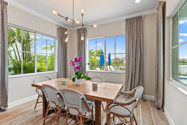 dining room featuring light wood-style floors, a wealth of natural light, and crown molding