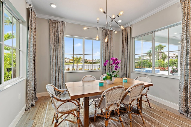 dining area featuring a chandelier, ornamental molding, wood finished floors, and baseboards