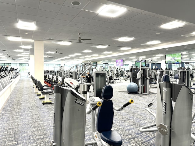 gym with a drop ceiling and carpet