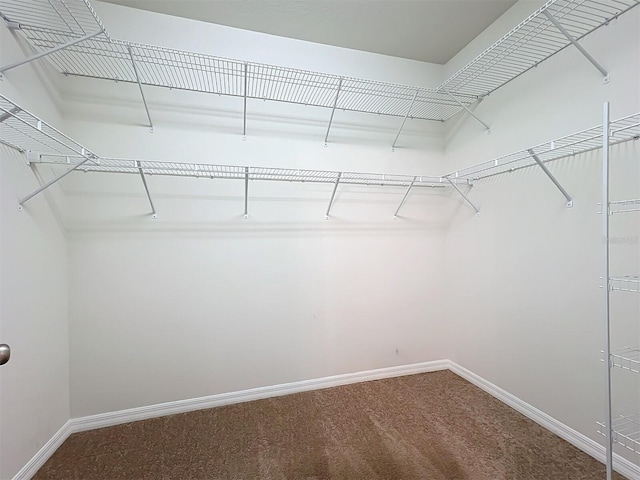 spacious closet with carpet floors