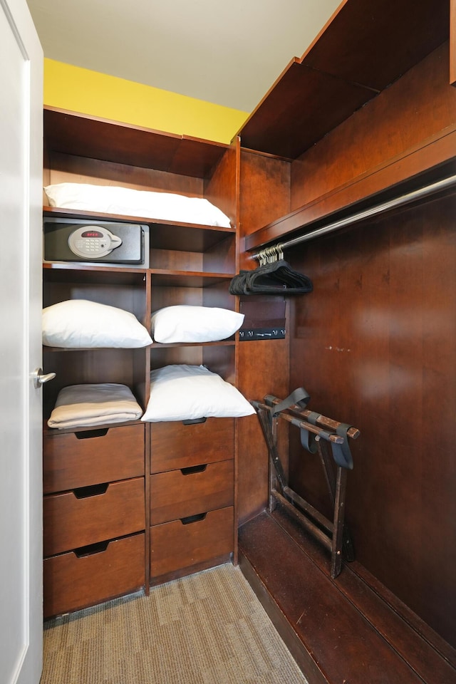 spacious closet featuring carpet floors