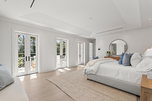 bedroom featuring access to outside, a tray ceiling, and french doors