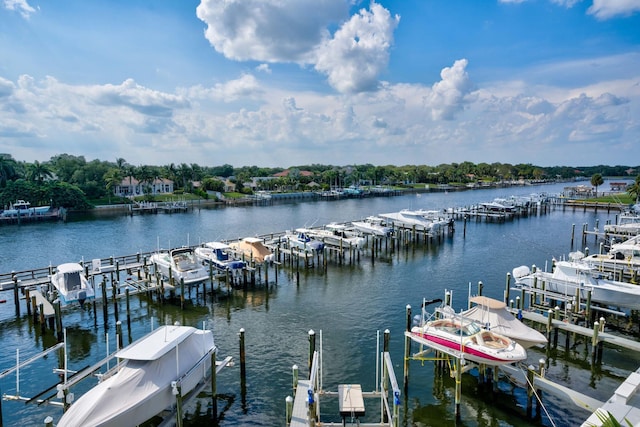 view of dock with a water view and boat lift