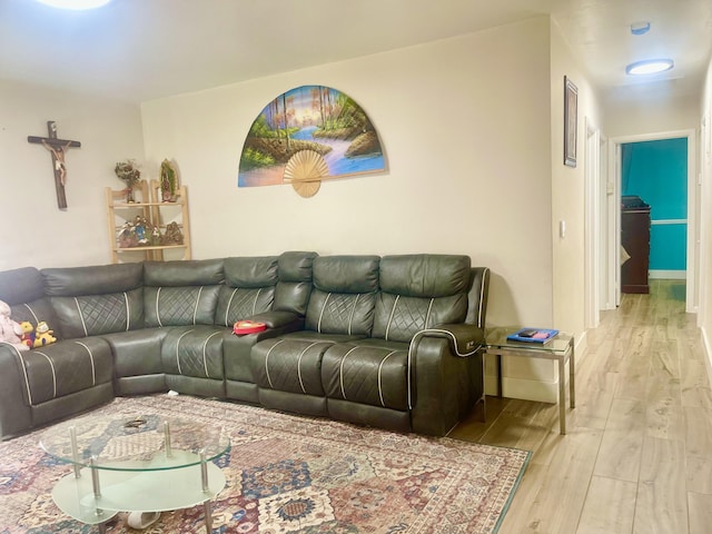 living room featuring light wood finished floors