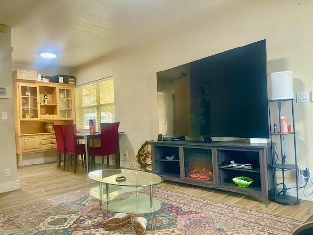 living room featuring a fireplace and wood finished floors