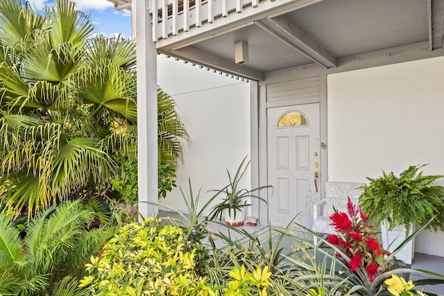 doorway to property with stucco siding