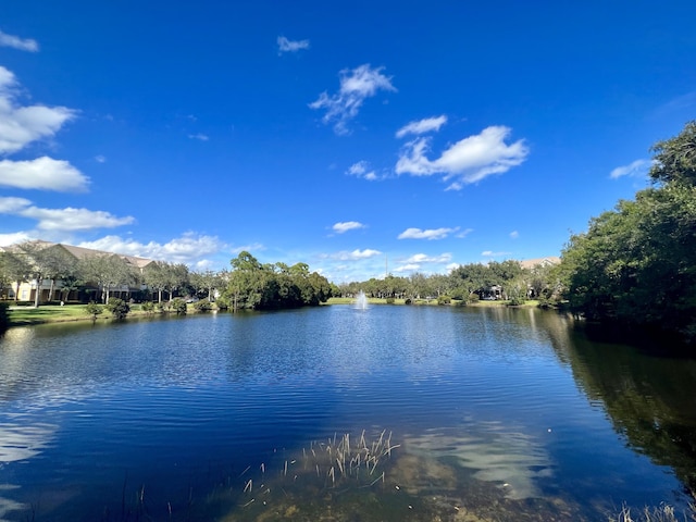 water view