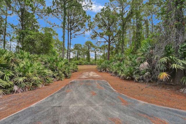 view of road featuring driveway