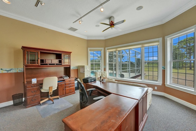 carpeted office space featuring a healthy amount of sunlight, crown molding, visible vents, and baseboards