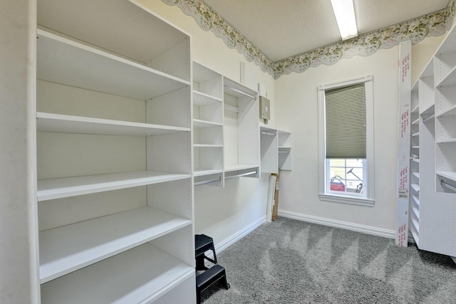 walk in closet featuring carpet flooring