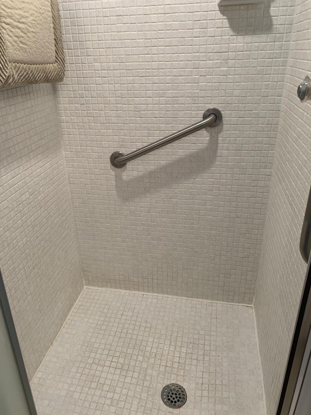 bathroom with a shower stall