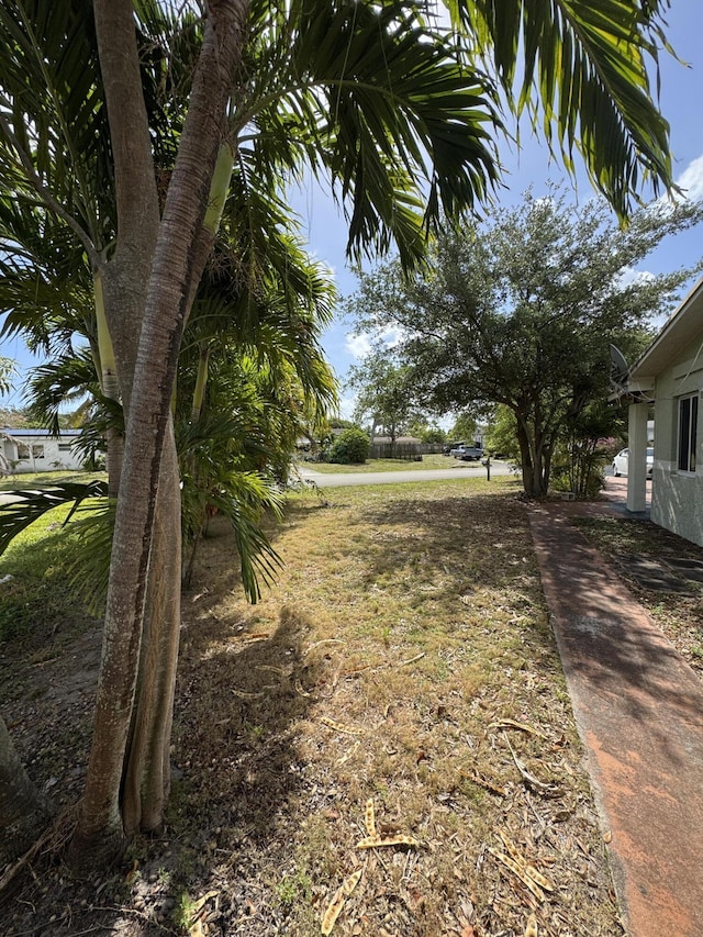 view of yard