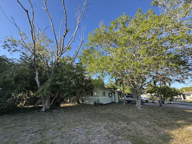 view of yard