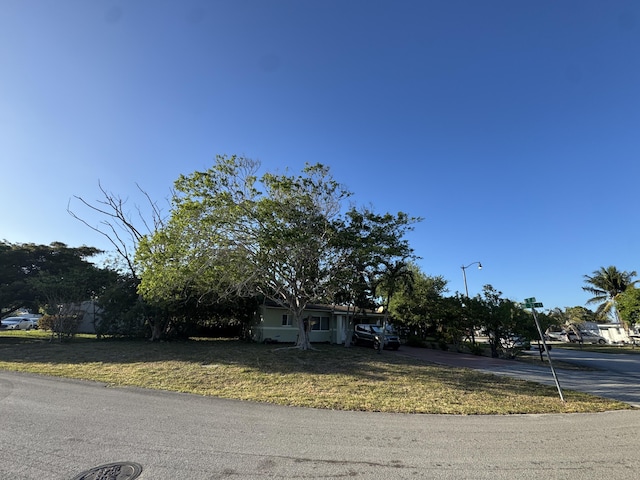 view of property hidden behind natural elements featuring a front yard