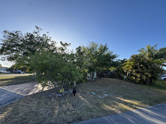 view of property hidden behind natural elements featuring driveway