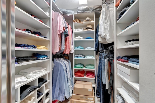 view of walk in closet