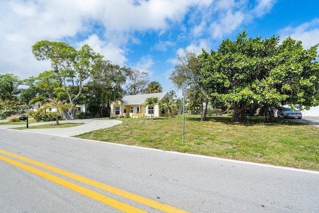 view of property hidden behind natural elements featuring a front yard and driveway