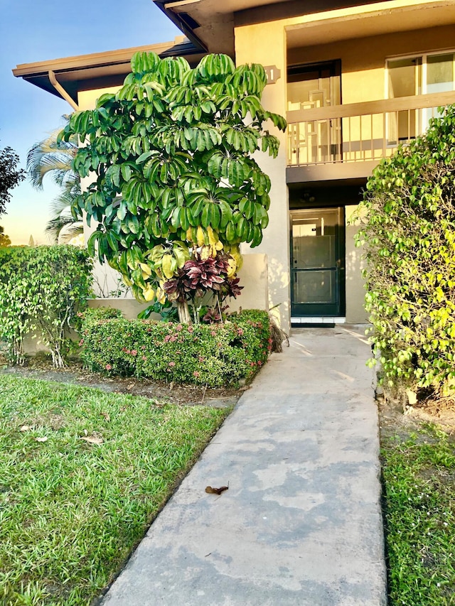 view of exterior entry featuring a balcony and stucco siding