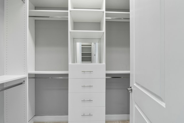 view of spacious closet