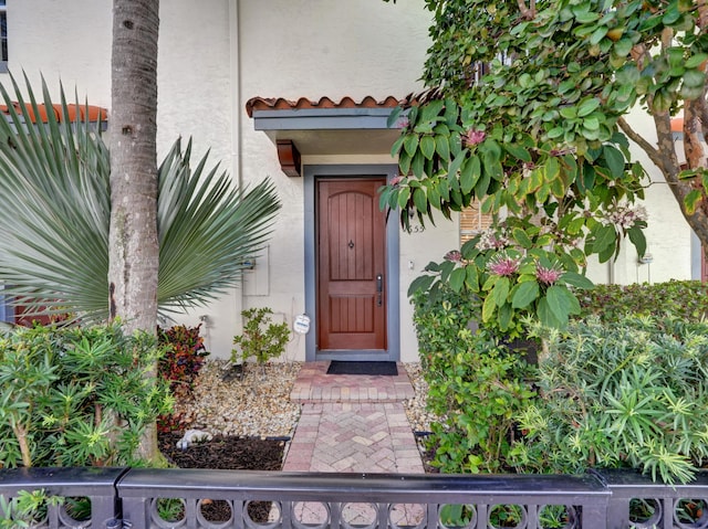 view of exterior entry with a tiled roof and stucco siding