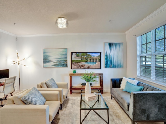 living room featuring baseboards, ornamental molding, and a textured ceiling