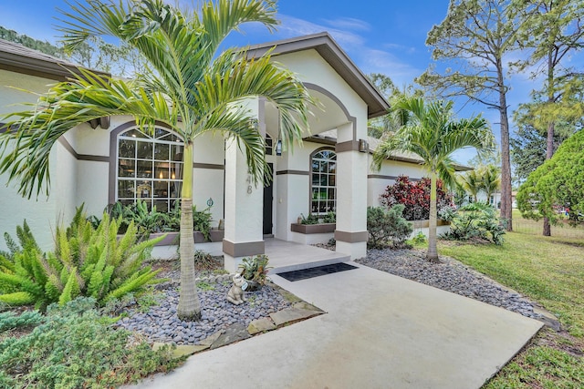 entrance to property with a yard and stucco siding