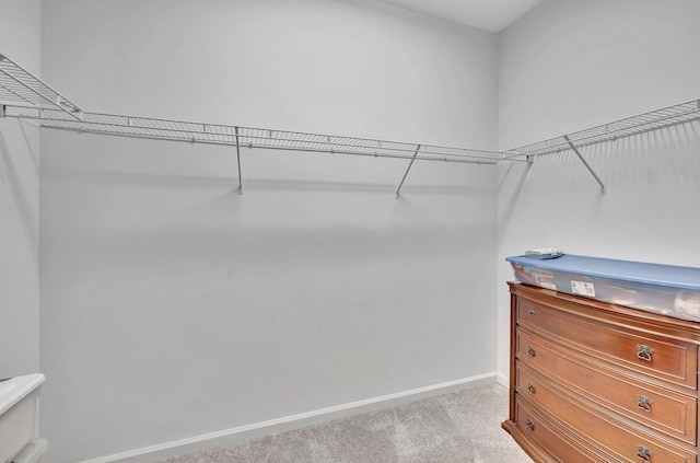 walk in closet featuring light colored carpet