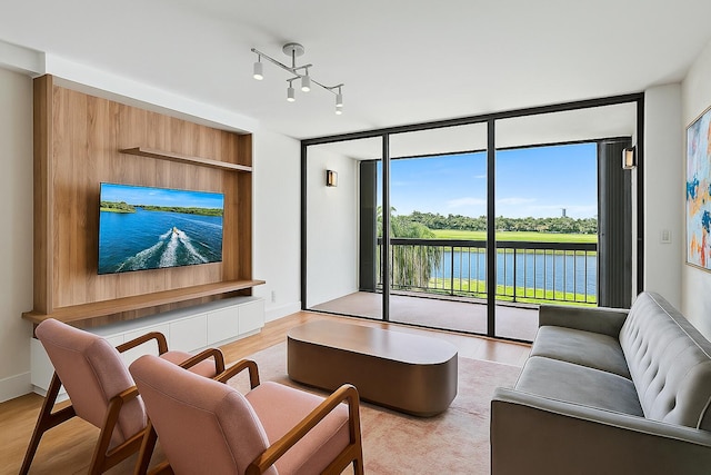 living room with expansive windows and light wood-type flooring