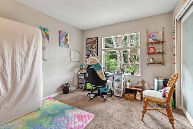 office featuring carpet flooring and baseboards