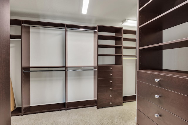 walk in closet with light colored carpet