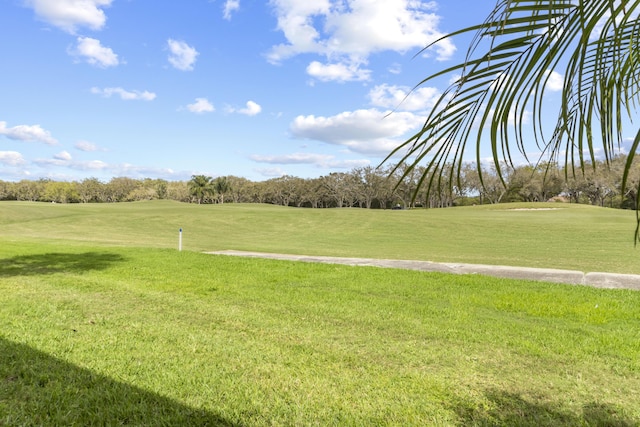 surrounding community featuring a yard