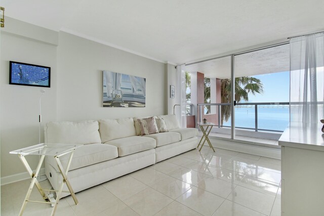 living area with ornamental molding, expansive windows, light tile patterned flooring, and baseboards