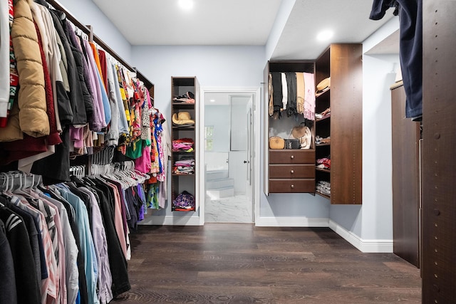 walk in closet with wood finished floors