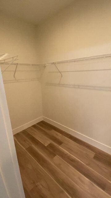 spacious closet with dark wood finished floors